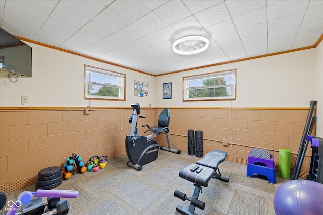 580 Northgate Dr, Greenwood, IN 46143 - exercise room with crown molding, a wainscoted wall, carpet flooring, and concrete block wall