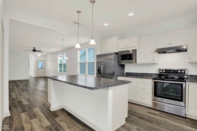 5125 Lilium Dr, Plainfield, IN 46168 - kitchen featuring appliances with stainless steel finishes, under cabinet range hood, dark countertops, a center island, and dark wood finished floors