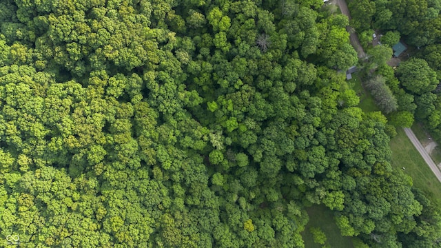 3463 Plum Creek Rd, Nashville, IN 47448 - aerial overview of property's location
