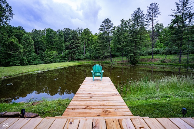 3463 Plum Creek Rd, Nashville, IN 47448 - dock featuring a water view and a forest view