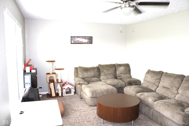 8519 Frosty Rose Dr, Avon, IN 46123 - photo 18