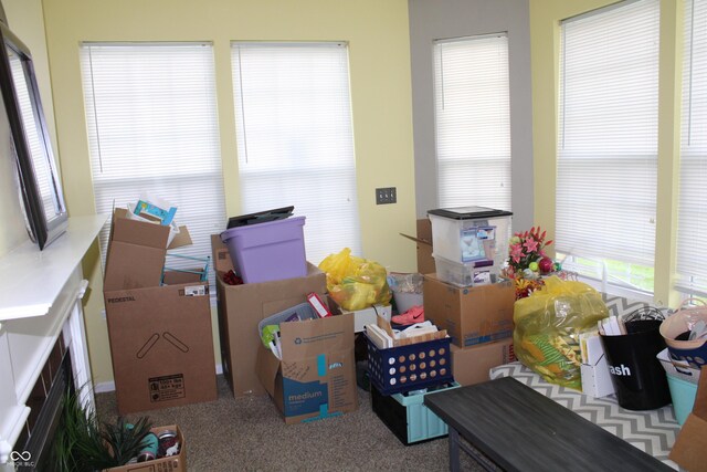 8519 Frosty Rose Dr, Avon, IN 46123 - photo 9