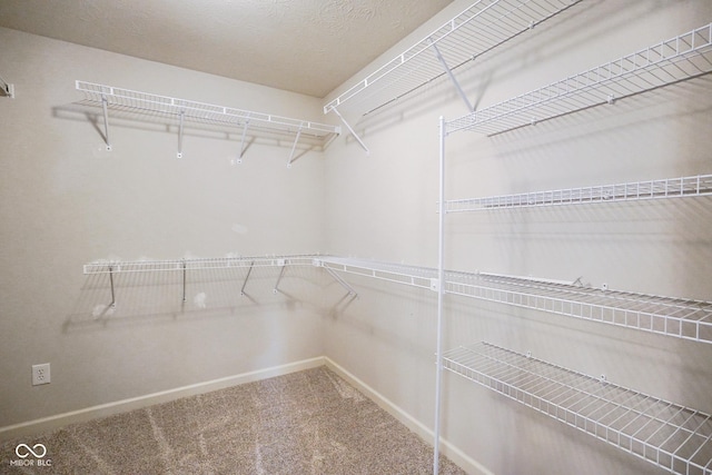 6830 Park Grove Blvd, Whitestown, IN 46075 - spacious closet featuring carpet floors