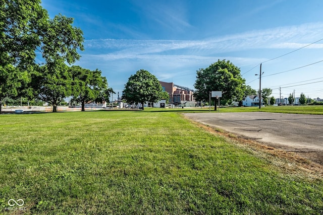 262 W Ray St, Indianapolis, IN 46225 - view of green lawn with community basketball court