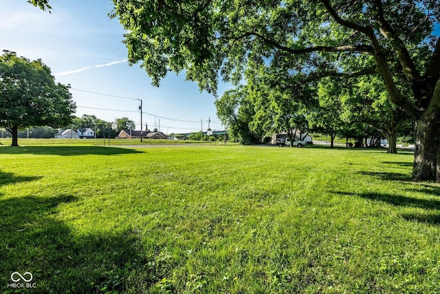 262 W Ray St, Indianapolis, IN 46225 - view of grassy yard