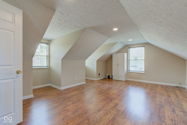 2234 Burgundy Way, Plainfield, IN 46168 - bonus room with a textured ceiling, plenty of natural light, wood finished floors, baseboards, and lofted ceiling