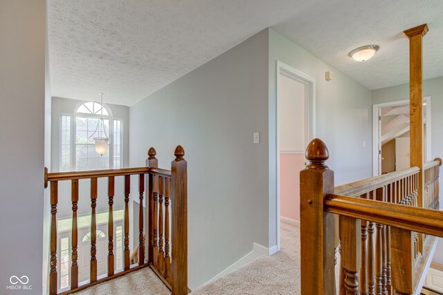 2234 Burgundy Way, Plainfield, IN 46168 - hallway with an upstairs landing, carpet floors, a textured ceiling, and baseboards