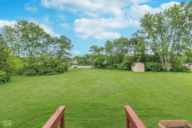 8205 Picadilly Ln, Indianapolis, IN 46256 - view of green lawn