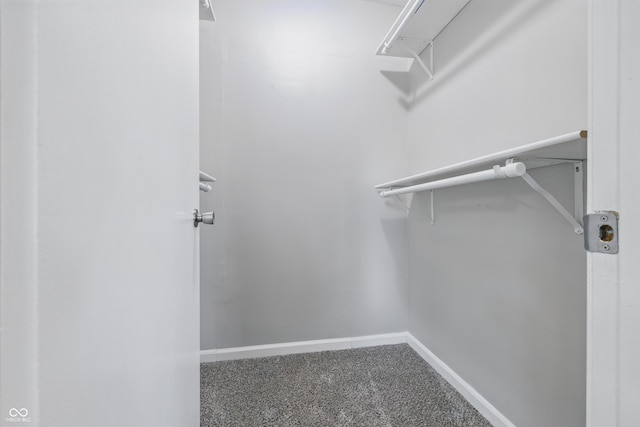 450 N Fenton Ave, Indianapolis, IN 46219 - spacious closet with carpet floors