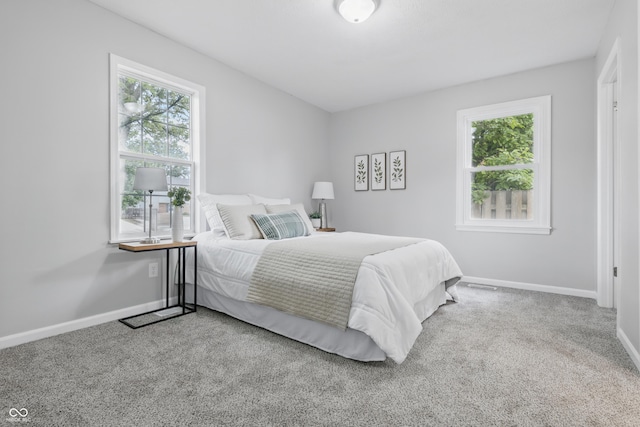 450 N Fenton Ave, Indianapolis, IN 46219 - bedroom with multiple windows and carpet floors