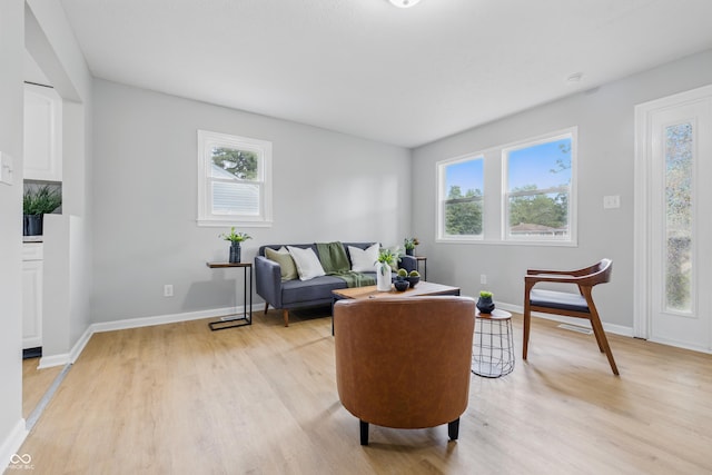 450 N Fenton Ave, Indianapolis, IN 46219 - living area with light wood-type flooring and plenty of natural light