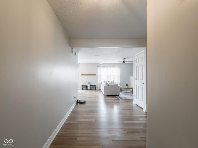 10443 Ringtail Pl, Fishers, IN 46038 - photo 7