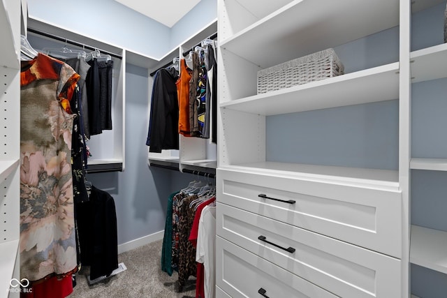 4545 Caroline Grace Ln, Terre Haute, IN 47802 - walk in closet with carpet flooring