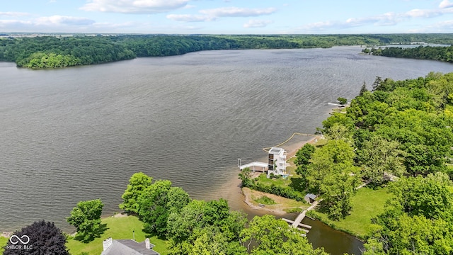 7426 Shadow Wood Dr, Indianapolis, IN 46254 - aerial view of a large body of water and a heavily wooded area