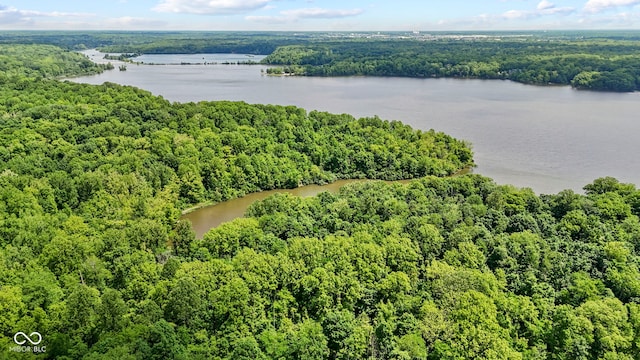 7426 Shadow Wood Dr, Indianapolis, IN 46254 - bird's eye view of a heavily wooded area and a nearby body of water