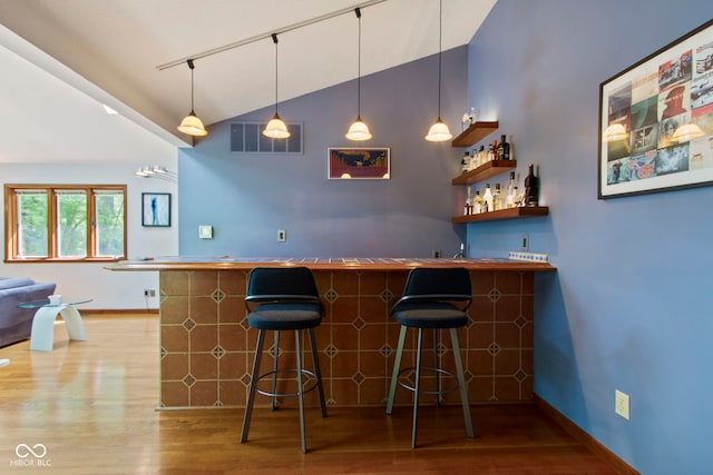 7426 Shadow Wood Dr, Indianapolis, IN 46254 - indoor wet bar featuring wood finished floors, rail lighting, decorative light fixtures, baseboards, and high vaulted ceiling