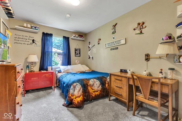 12121 E 21st St, Indianapolis, IN 46229 - bedroom featuring carpet