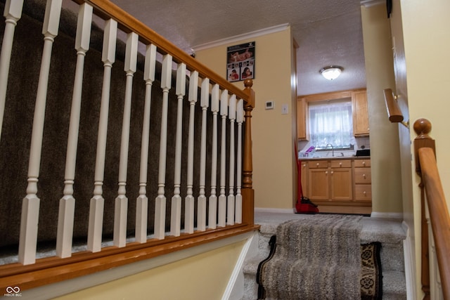 7402 Broadview Dr, Indianapolis, IN 46227 - stairs with a textured ceiling, carpet flooring, and baseboards