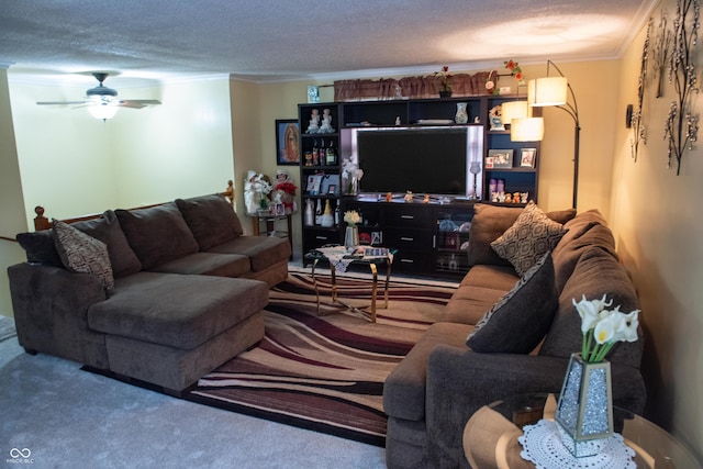 7402 Broadview Dr, Indianapolis, IN 46227 - living room with crown molding, carpet, a ceiling fan, and a textured ceiling