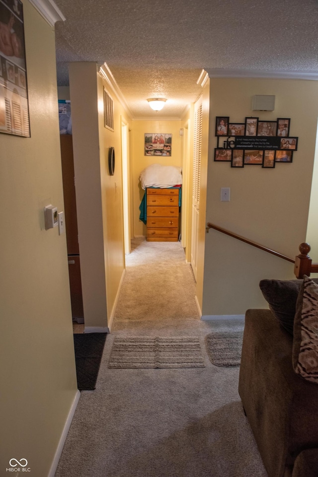 7402 Broadview Dr, Indianapolis, IN 46227 - hall with carpet, a textured ceiling, ornamental molding, and baseboards