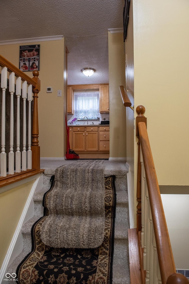 7402 Broadview Dr, Indianapolis, IN 46227 - stairway with a textured ceiling, carpet, and baseboards