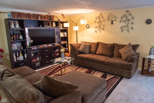 7402 Broadview Dr, Indianapolis, IN 46227 - carpeted living room with a textured ceiling and ornamental molding
