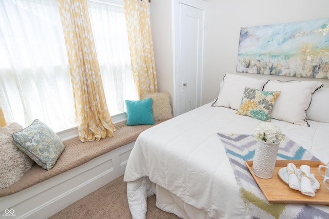 5133 E Michigan St, Indianapolis, IN 46219 - view of carpeted bedroom