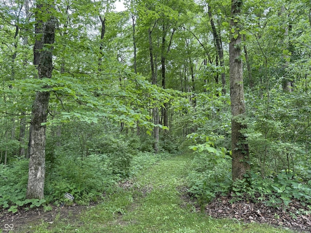 7166 Woodside Dr, Liberty, IN 47353 - photo 18