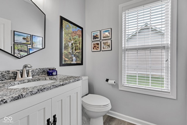 13766 Heatherfield Dr, Fishers, IN 46038 - bathroom with vanity, baseboards, toilet, and plenty of natural light