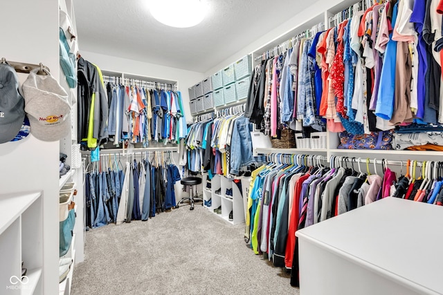 13766 Heatherfield Dr, Fishers, IN 46038 - spacious closet with carpet