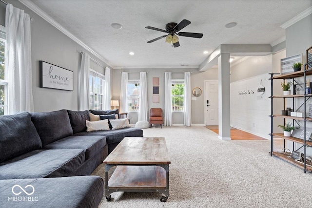 1905 Persimmon Grove Dr, Indianapolis, IN 46234 - living area featuring crown molding, carpet, a ceiling fan, a textured ceiling, and baseboards