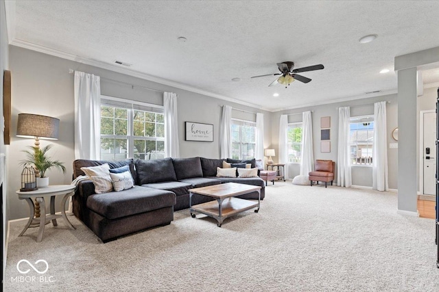 1905 Persimmon Grove Dr, Indianapolis, IN 46234 - living room with carpet floors, crown molding, plenty of natural light, a ceiling fan, and a textured ceiling