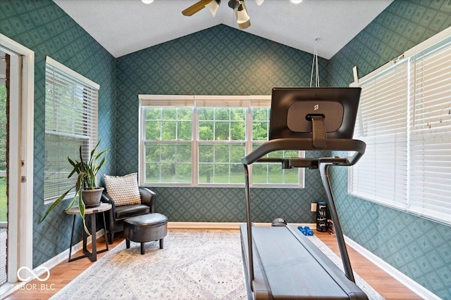 1905 Persimmon Grove Dr, Indianapolis, IN 46234 - workout area featuring wood finished floors, lofted ceiling, wallpapered walls, plenty of natural light, and a ceiling fan