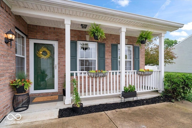1905 Persimmon Grove Dr, Indianapolis, IN 46234 - view of exterior entry featuring a porch and brick siding