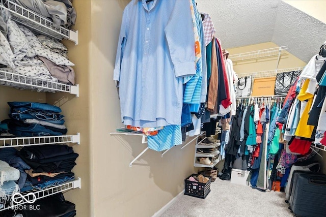 1905 Persimmon Grove Dr, Indianapolis, IN 46234 - walk in closet featuring carpet floors