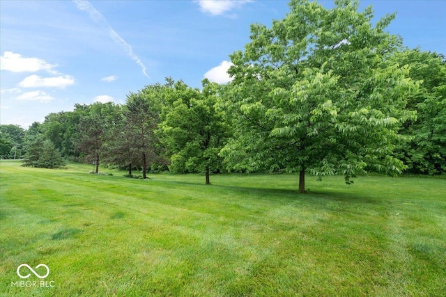 1905 Persimmon Grove Dr, Indianapolis, IN 46234 - view of green lawn