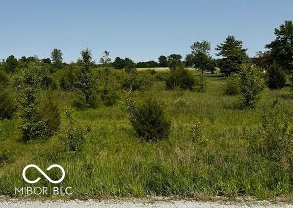 20735 Mulebarn Rd, Sheridan, IN 46069