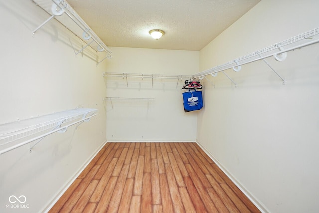 11198 N 650 W, Fountaintown, IN 46130 - spacious closet featuring light wood-type flooring