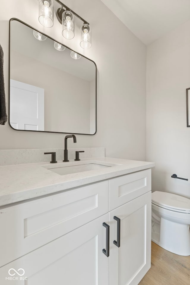1405 Deloss St, Indianapolis, IN 46201 - half bath with vanity, wood finished floors, and toilet