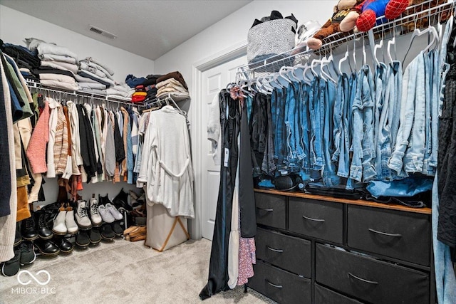 6507 W Whispering Way, Greenfield, IN 46140 - spacious closet featuring carpet