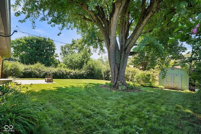 6133 Ashway Ct, Indianapolis, IN 46224 - view of green lawn with a storage shed