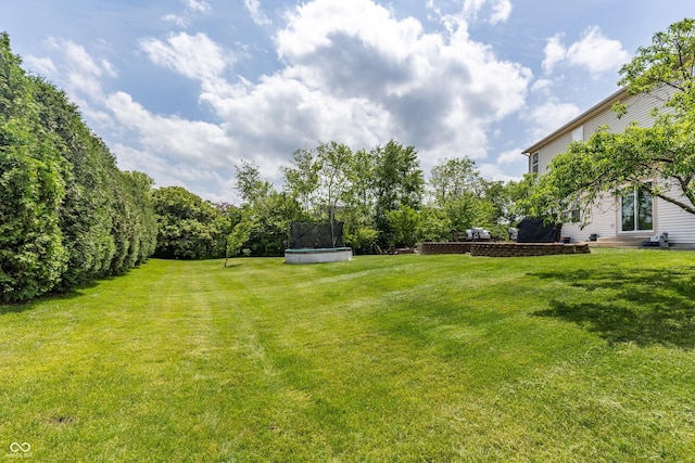 2096 Whitetail Ct, Avon, IN 46123 - view of grassy yard with a trampoline