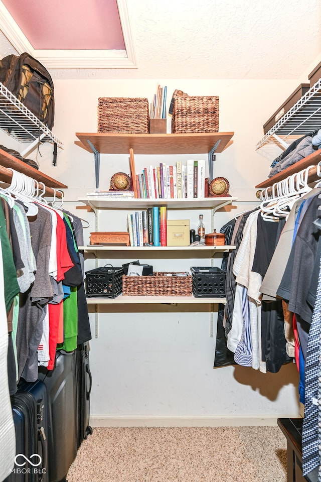 6580 Kings Ct, Avon, IN 46123 - view of walk in closet