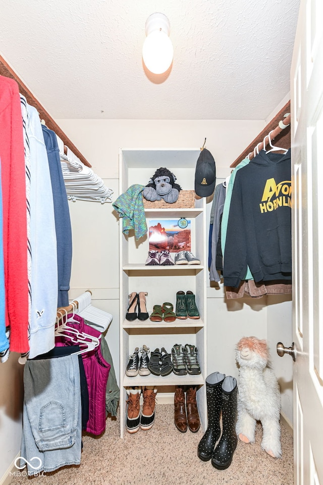 6580 Kings Ct, Avon, IN 46123 - view of walk in closet