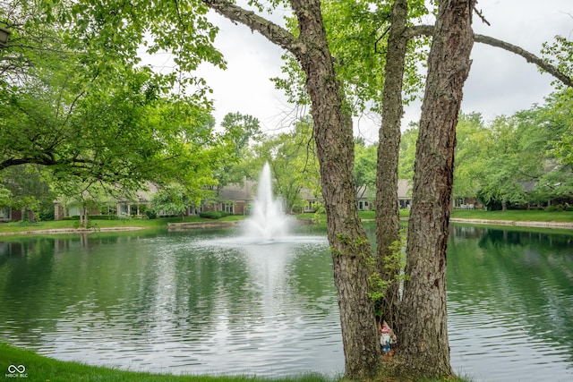 131 Olde Mill Bay, Indianapolis, IN 46260 - water view
