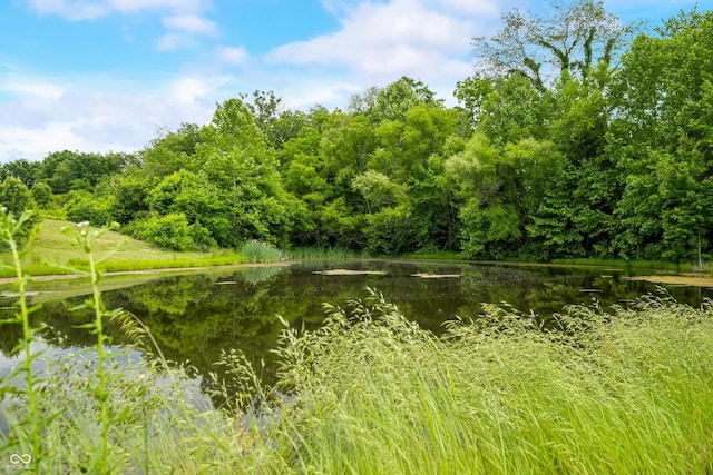 5439 E Kinderhook Rd, Scottsburg, IN 47170 - view of tree filled area featuring a water view