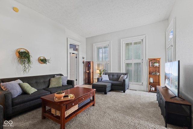 245 S Washington St, Danville, IN 46122 - living room with light colored carpet and a textured ceiling