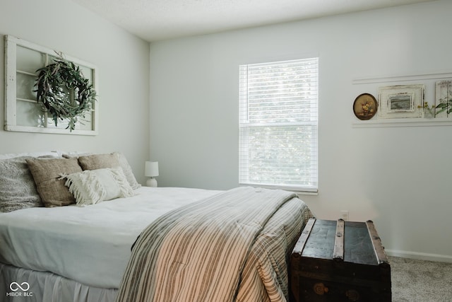7402 Northfield Blvd, Fishers, IN 46038 - bedroom with carpet floors, multiple windows, and baseboards