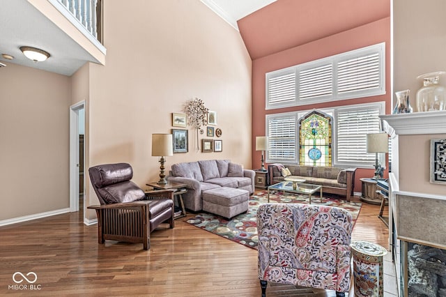 11244 Blackwalnut Pt, Indianapolis, IN 46236 - living area with wood finished floors and high vaulted ceiling