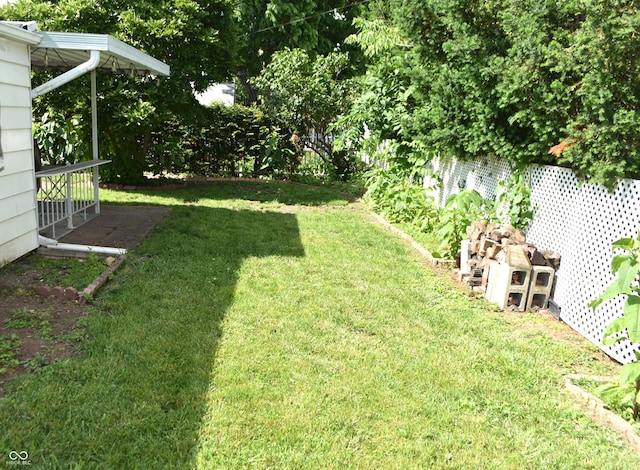 1641 Winton Ave, Speedway, IN 46224 - view of grassy yard